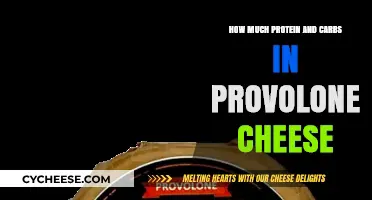 Provolone Cheese Nutrition: Protein and Carb Content Revealed