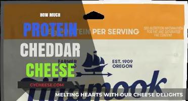 Cheddar Cheese Protein Content: How Much Does a Serving Provide?