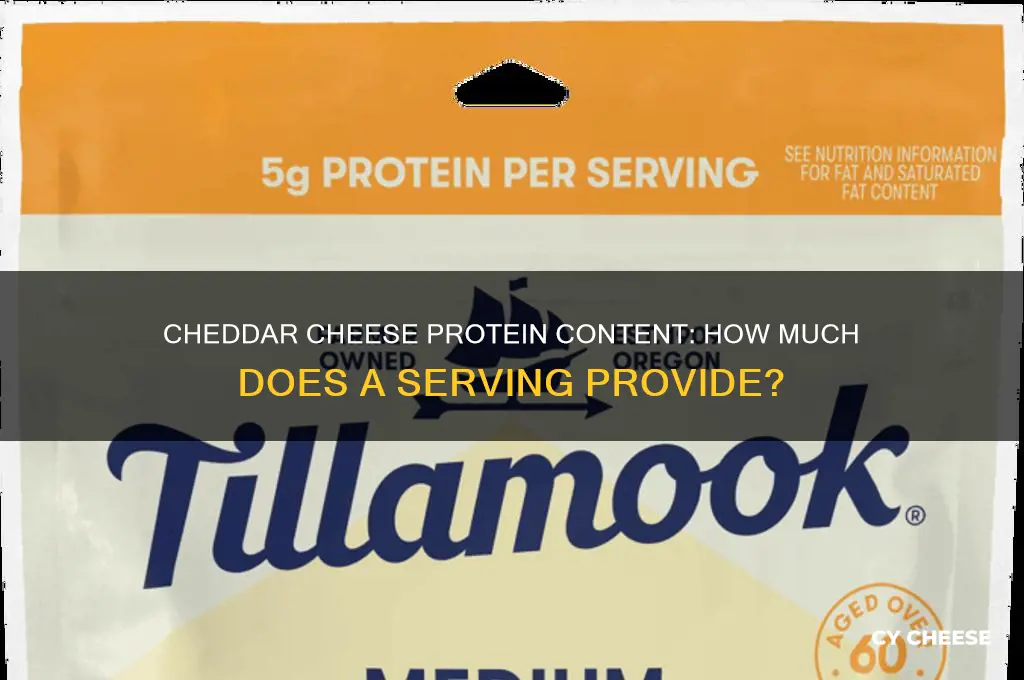 how much protein cheddar cheese