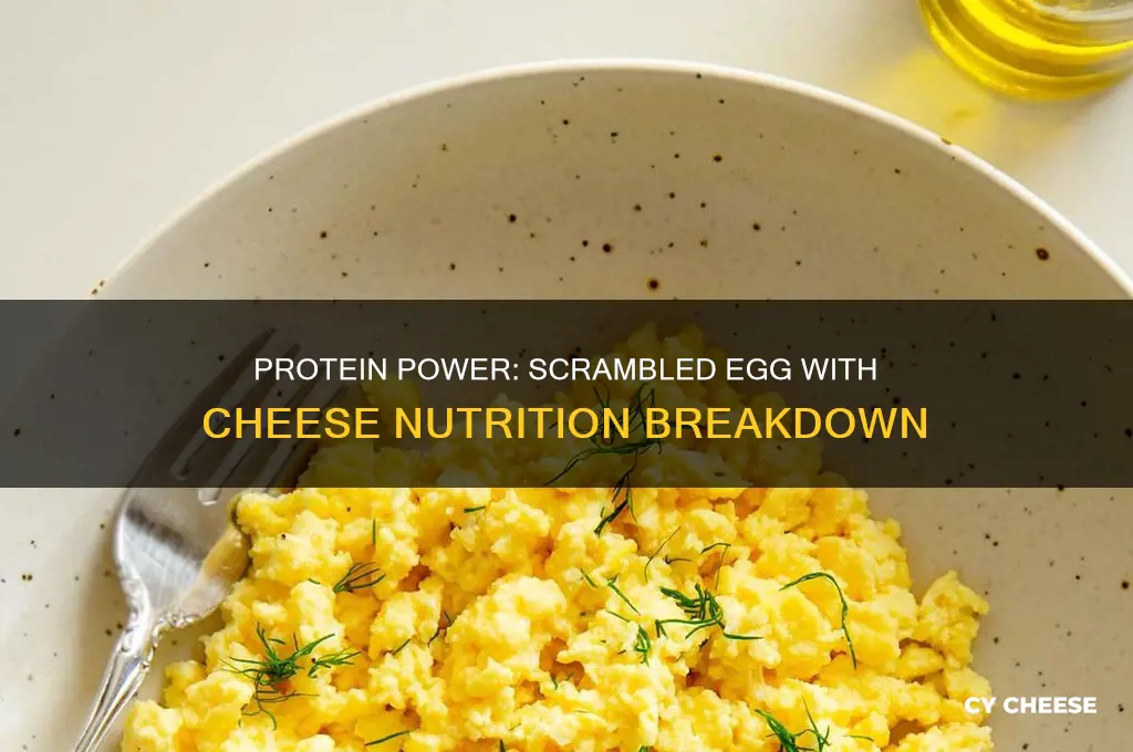 how much protein does 1 scrambled egg with cheese have