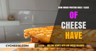 Protein in Cheese: How Much Does One Slice Contain?
