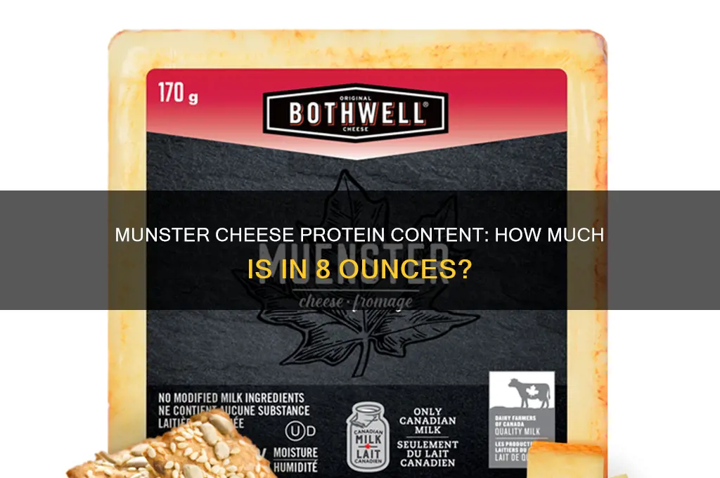 how much protein does 8 oz of munster cheese have