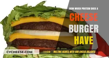 Cheeseburger Protein Content: Unveiling the Nutritional Value in Every Bite