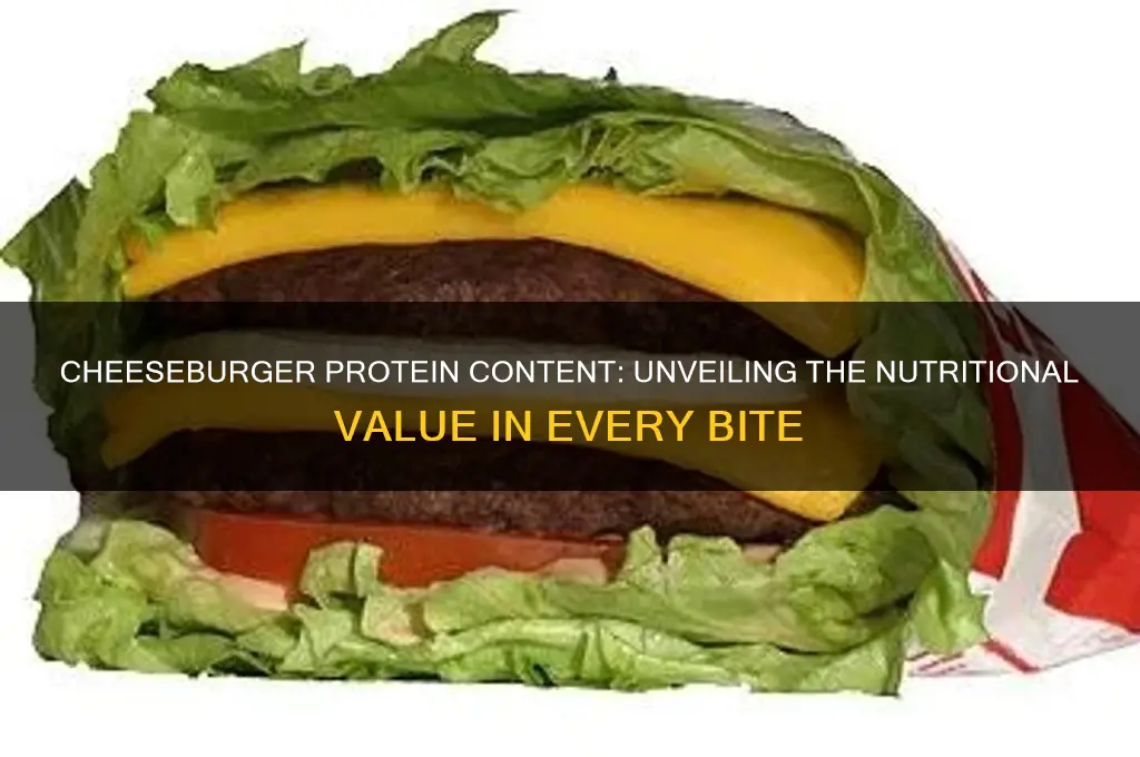 how much protein does a cheese burger have