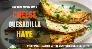 Cheese Quesadilla Protein Content: A Nutritional Breakdown for Food Lovers