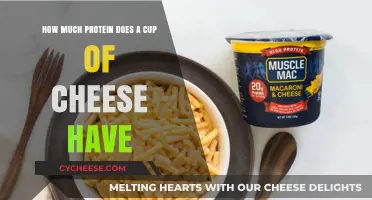 Protein Power in Cheese: How Much is in a Cup?