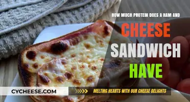 Protein Power: Ham and Cheese Sandwich Nutrition Breakdown