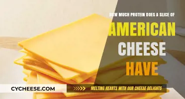 Protein in American Cheese: How Much is in One Slice?