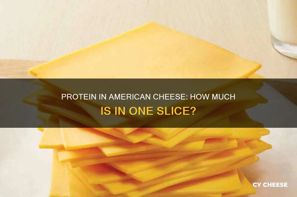 how much protein does a slice of american cheese have