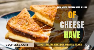 Protein in Cheese: How Much Does a Slice Contain?