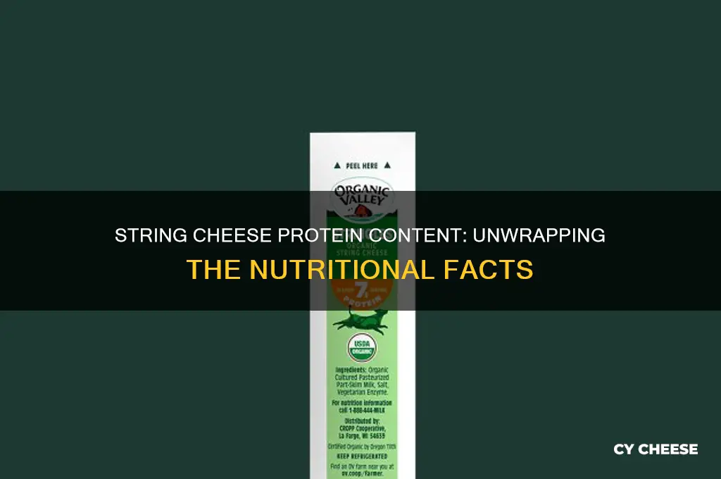 how much protein does a string cheese have