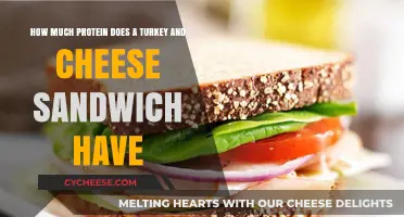 Turkey and Cheese Sandwich Protein Content: A Nutritional Breakdown