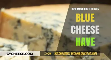 Blue Cheese Protein Content: Unveiling Nutritional Value and Benefits
