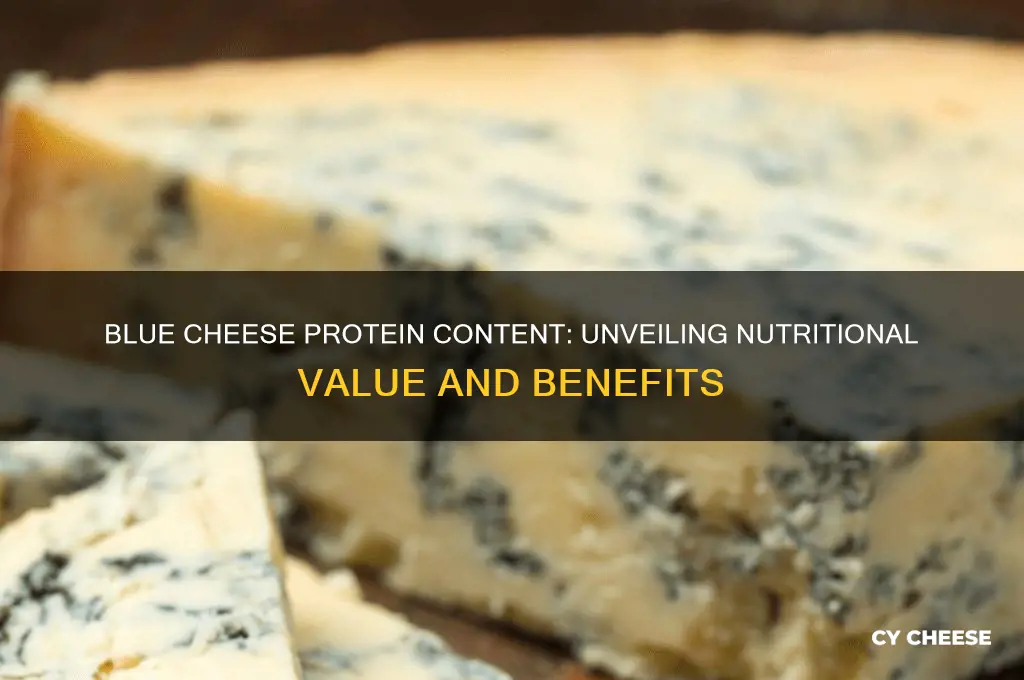 how much protein does blue cheese have