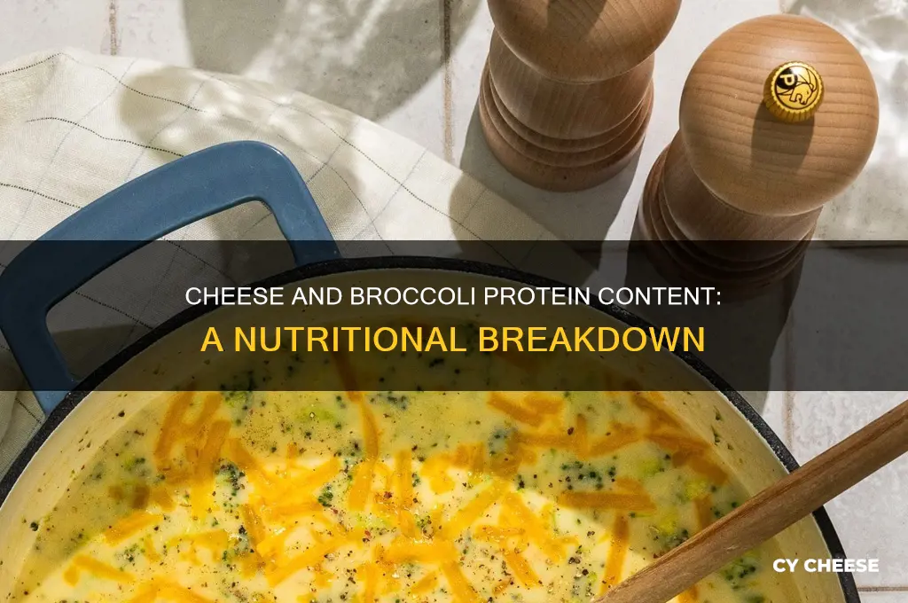 how much protein does cheese and broccoli have