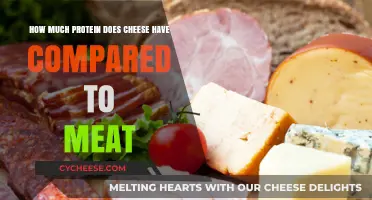 Cheese vs. Meat: Protein Content Comparison for Health-Conscious Eaters