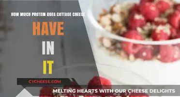 Cottage Cheese Protein Power: Unveiling Its Nutritional Benefits and Content