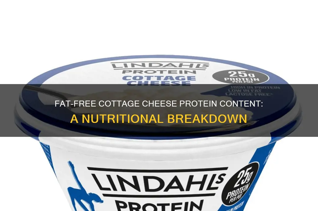 how much protein does fat free cottage cheese have