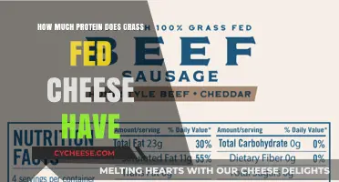 Grass-Fed Cheese Protein Content: A Nutritional Breakdown and Benefits