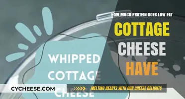 Low-Fat Cottage Cheese Protein Content: A Nutritional Breakdown
