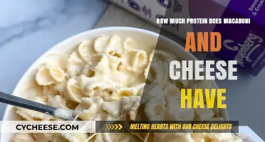 Mac and Cheese Protein Content: Surprising Facts Revealed