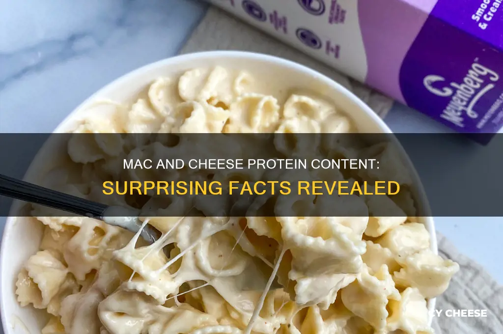 how much protein does macaroni and cheese have