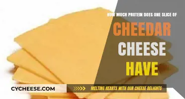 Protein in Cheddar Cheese: How Much is in One Slice?