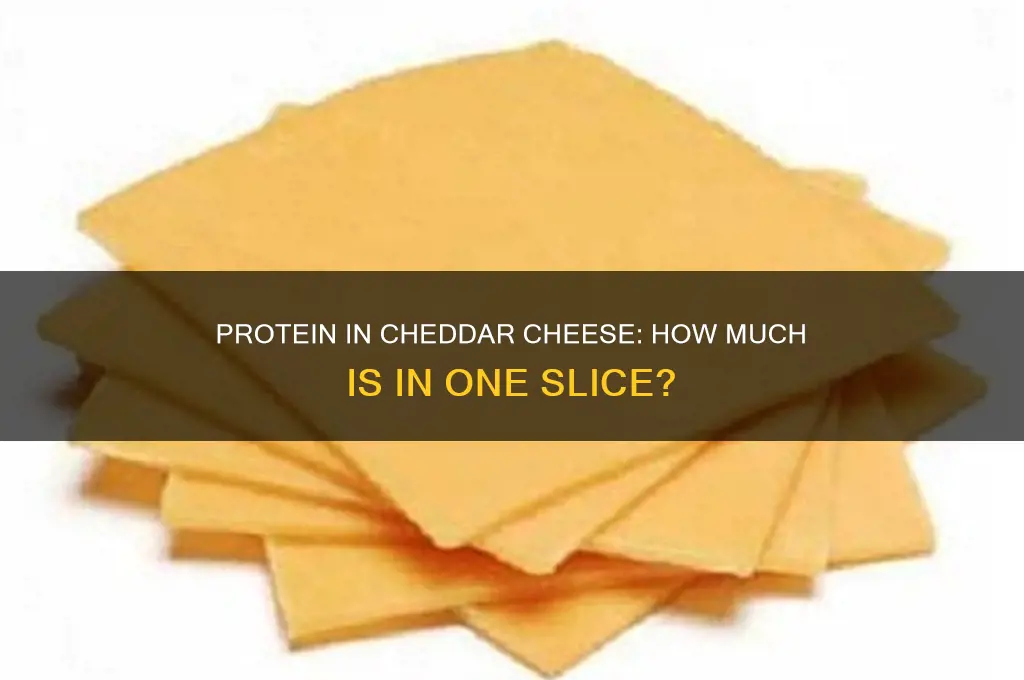 how much protein does one slice of cheedar cheese have