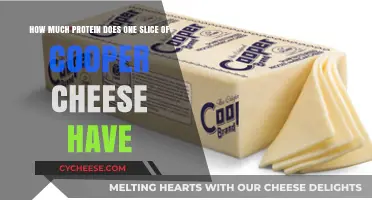 Cooper Cheese Protein Content: How Much is in One Slice?