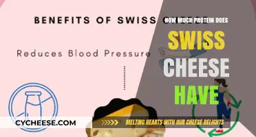 Swiss Cheese Protein Content: A Nutritional Breakdown and Benefits
