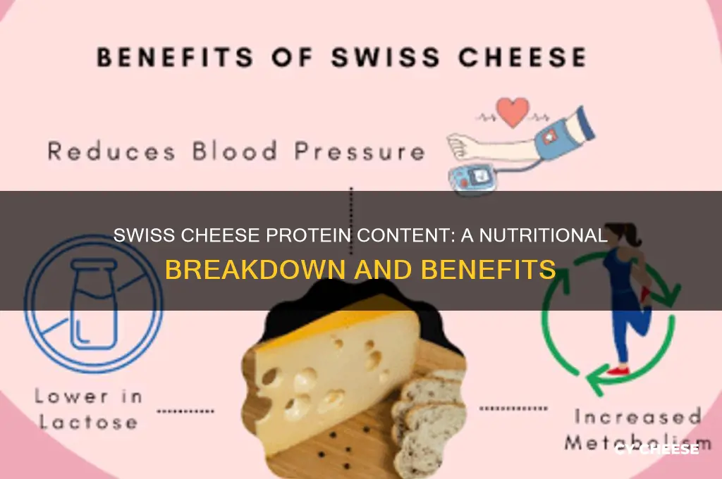 how much protein does swiss cheese have