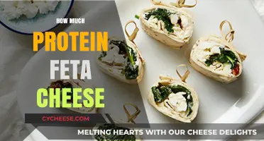 Feta Cheese Protein Content: How Much Does It Really Offer?
