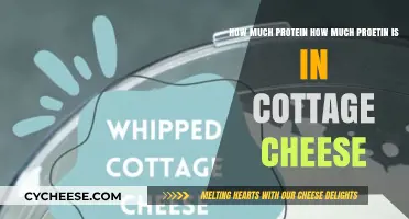 Cottage Cheese Protein Power: Unlocking Nutritional Benefits in Every Bite