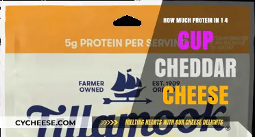 Cheddar Cheese Protein Content: Unveiling the 1/4 Cup Serving