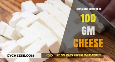 Protein Power in Cheese: Unveiling 100gm Serving's Nutritional Value