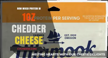Protein Power in Cheddar: How Much is in 1oz?