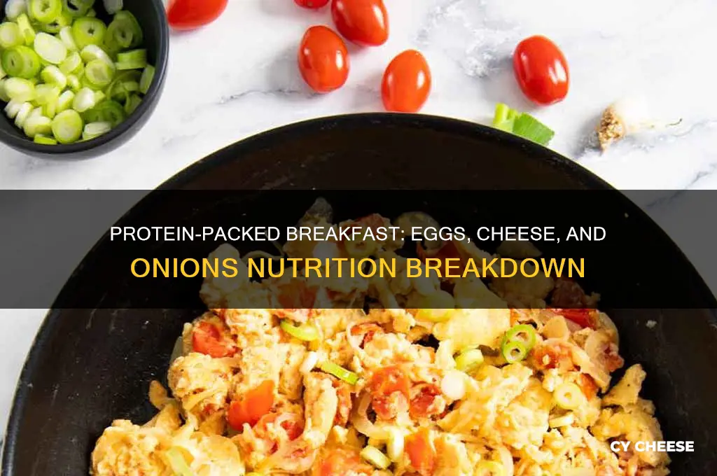 how much protein in 2 eggs with cheese and onions
