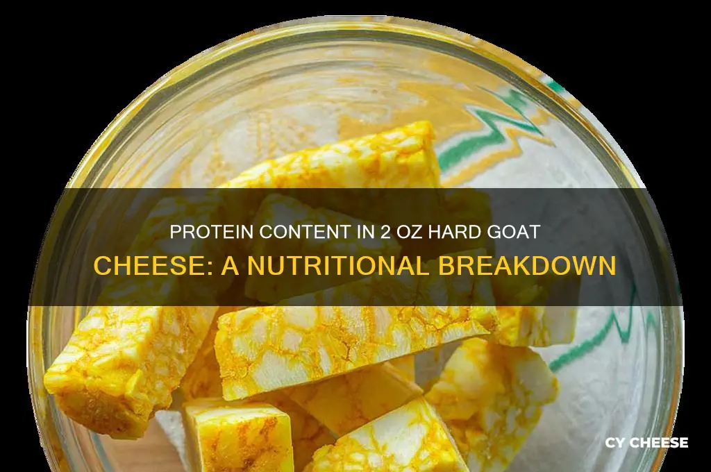 how much protein in 2 oz of hard goat cheese