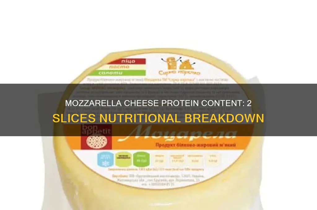 how much protein in 2 slices of mozzarella cheese