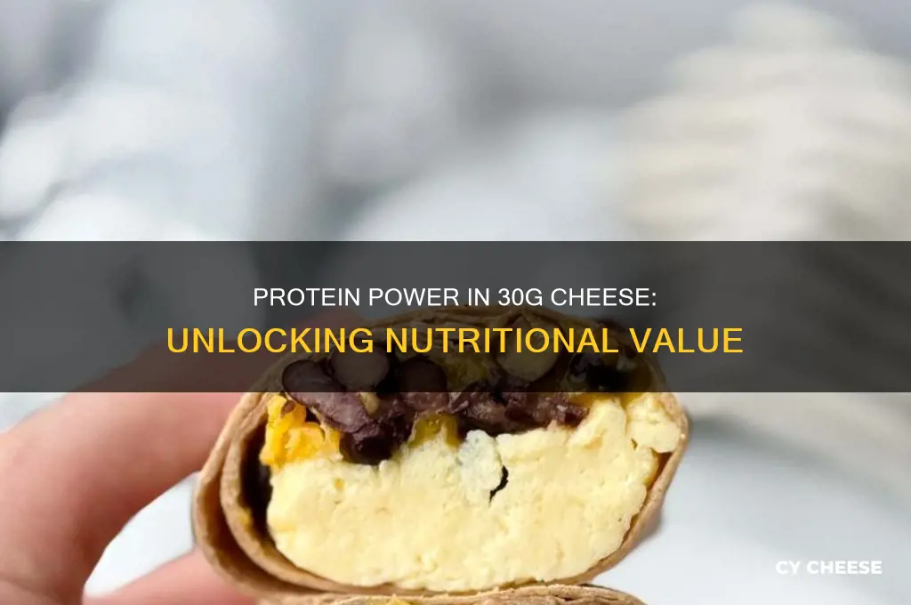 how much protein in 30g cheese