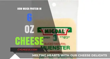 Protein Power in Cheese: Unveiling the 6 oz Serving's Nutritional Value