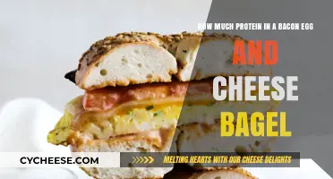 Protein Breakdown: Bacon, Egg, and Cheese Bagel Nutrition Unveiled