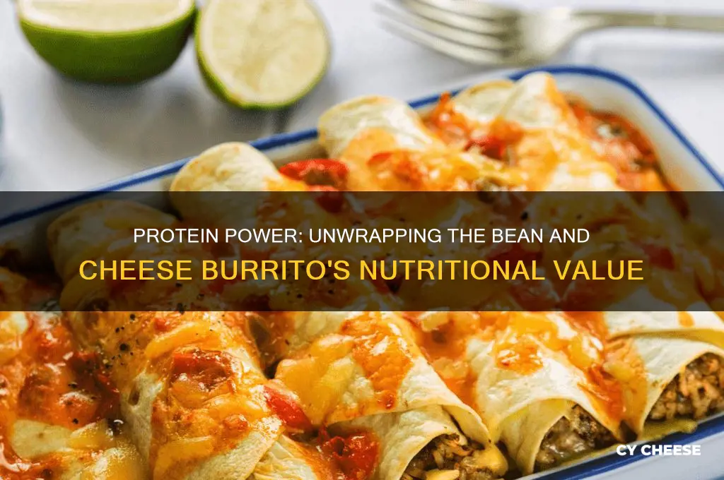 how much protein in a bean and cheese burrito