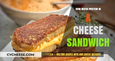Protein Power: Uncovering Cheese Sandwich Nutrition Facts and Benefits