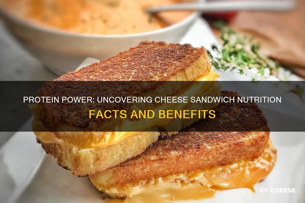how much protein in a cheese sandwich