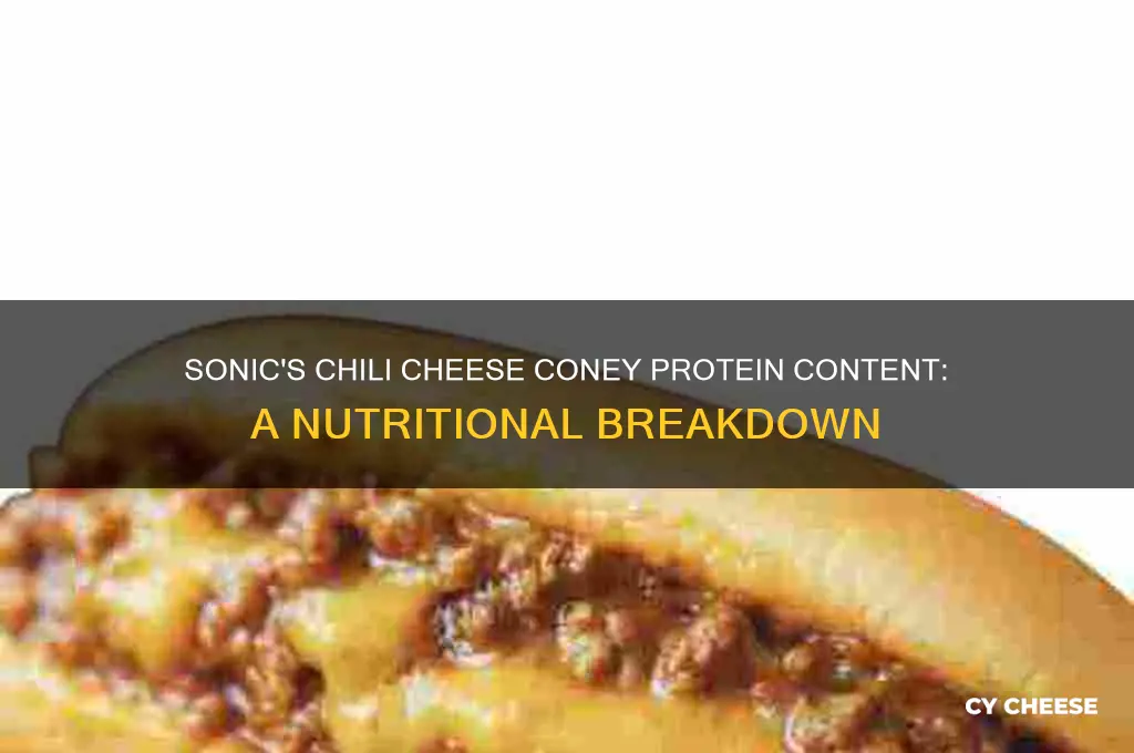 how much protein in a chili cheese coney at sonic