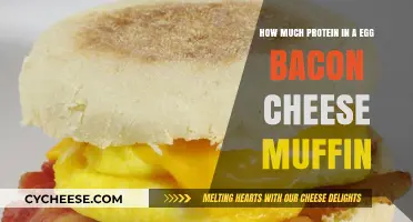 Protein Breakdown: Egg, Bacon, Cheese Muffin Nutrition Unveiled