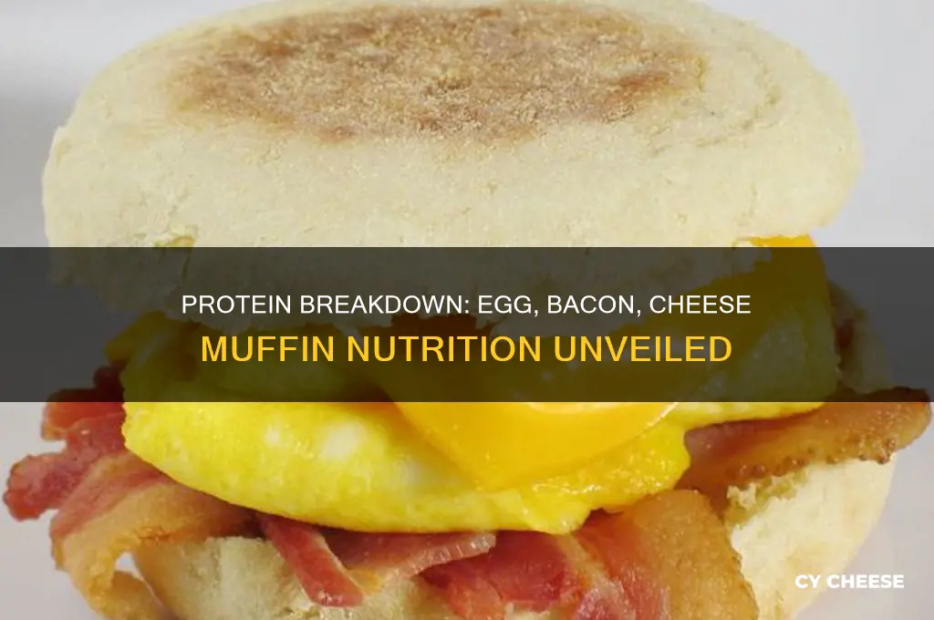 how much protein in a egg bacon cheese muffin