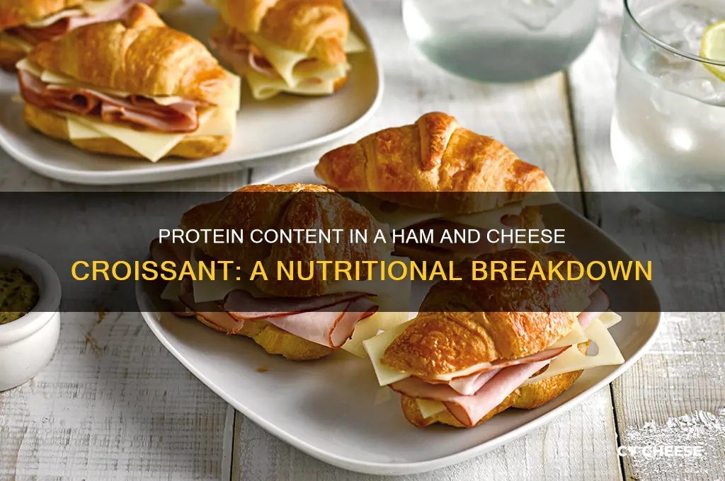 how much protein in a ham and cheese croissant