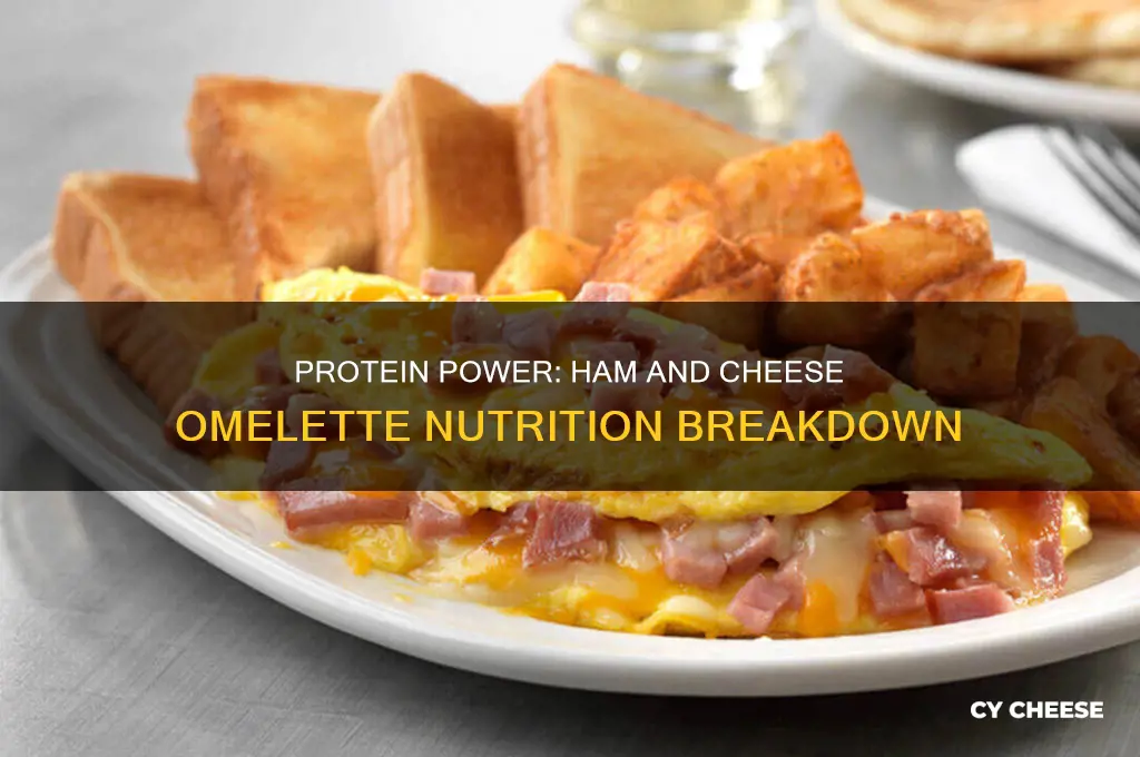 how much protein in a ham and cheese omelette